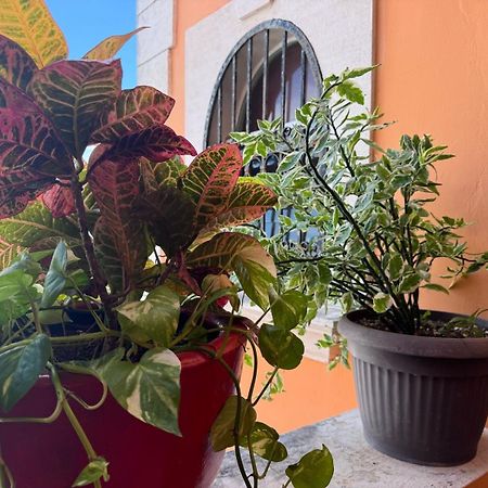 Hotel Casa Mallorca Κανκούν Εξωτερικό φωτογραφία