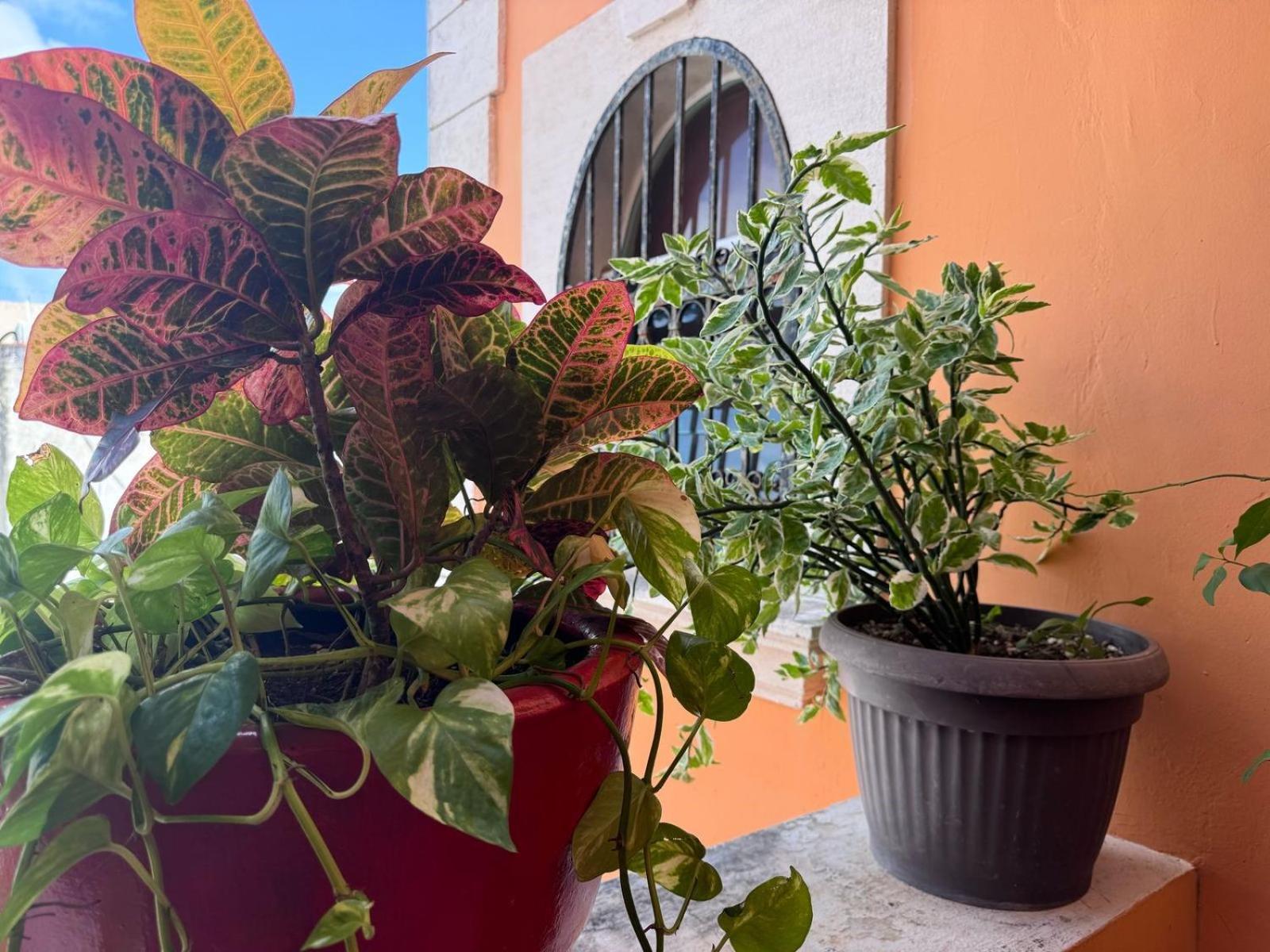Hotel Casa Mallorca Κανκούν Εξωτερικό φωτογραφία