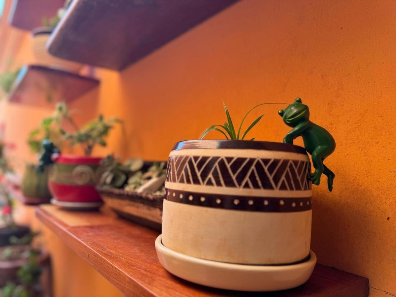 Hotel Casa Mallorca Κανκούν Εξωτερικό φωτογραφία