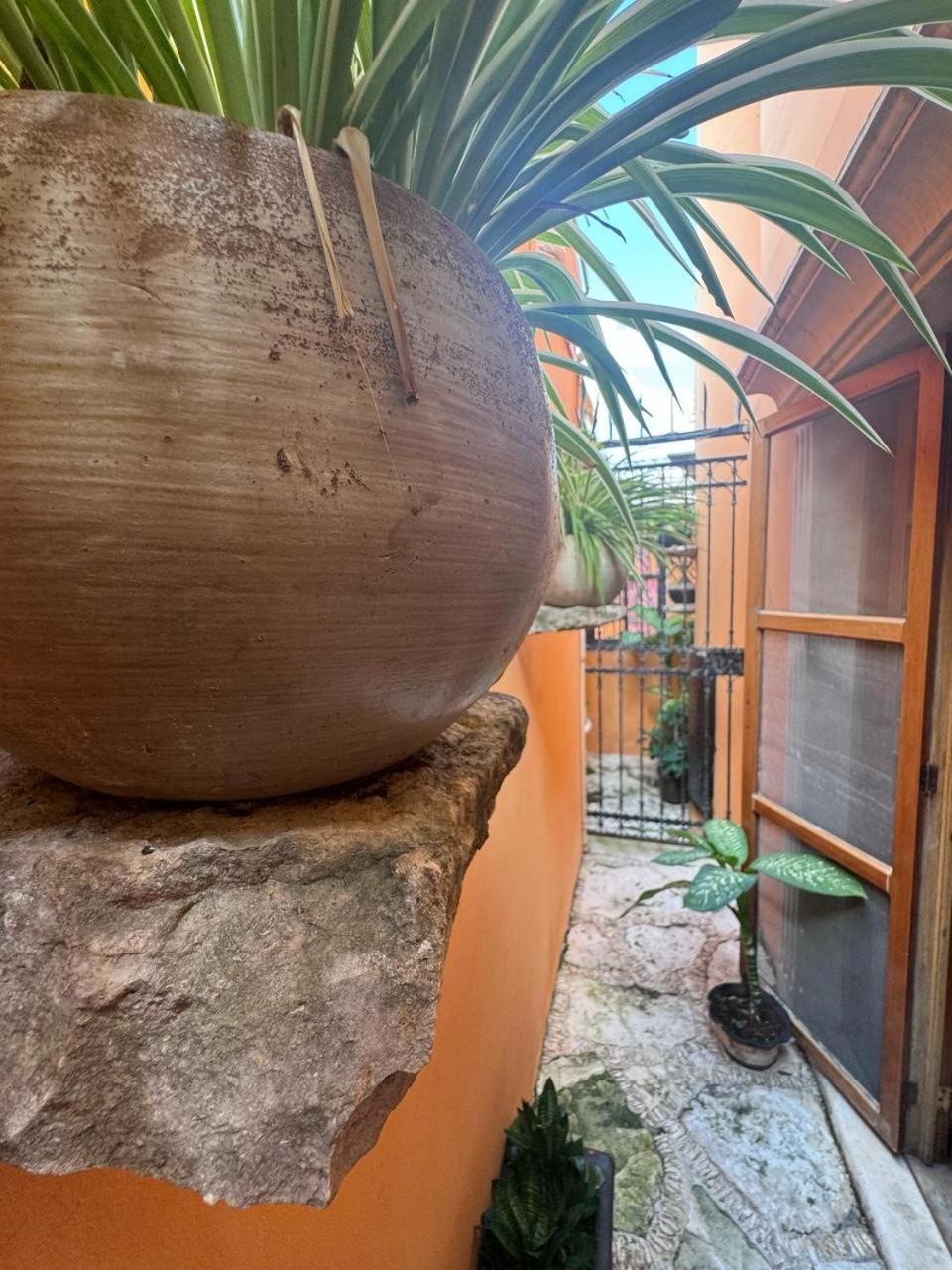 Hotel Casa Mallorca Κανκούν Εξωτερικό φωτογραφία