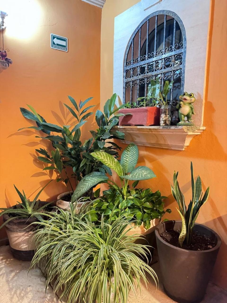 Hotel Casa Mallorca Κανκούν Εξωτερικό φωτογραφία