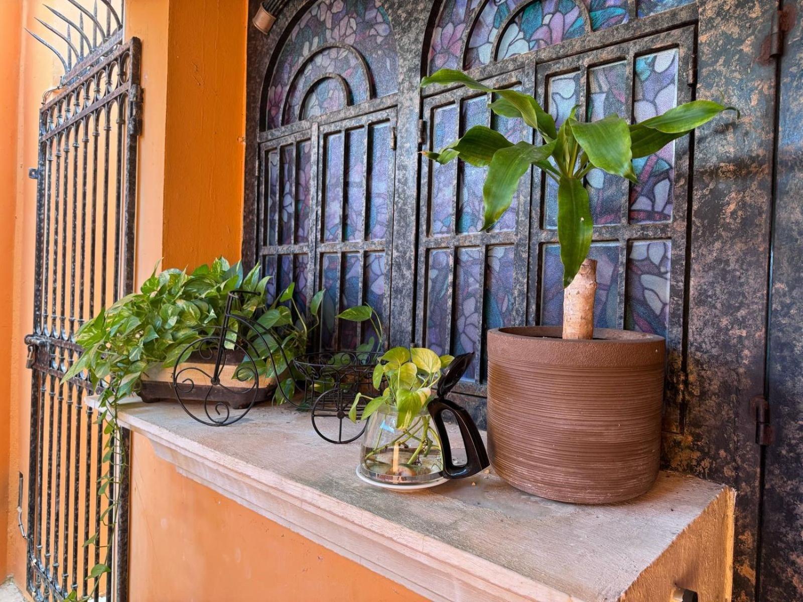 Hotel Casa Mallorca Κανκούν Εξωτερικό φωτογραφία
